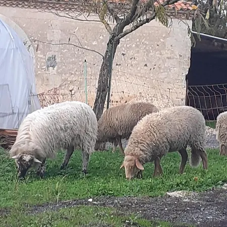 A La Ferme Tatil Evi *